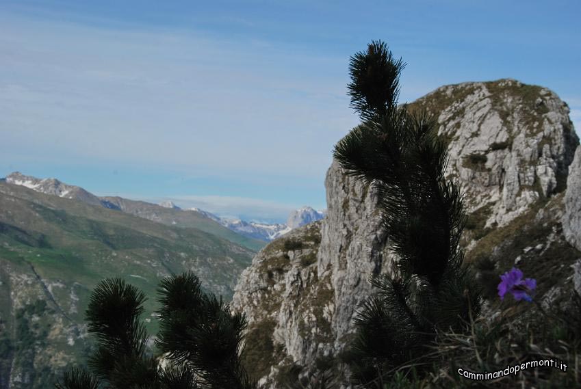 27 Panorama verso la Presolana.JPG